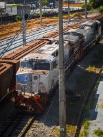 VLI 6050